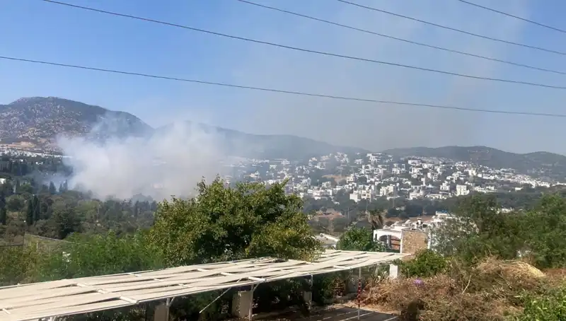 Muğla'daki Orman Yangınları Kontrol Altına Alındı, Son Durum Nedeniyle Endişeler Devam Ediyor