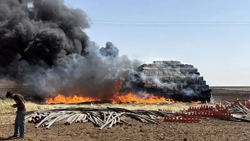 Mardin'de Kontrolden Çıkan Anız Yangını Korkuttu!