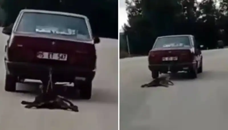 Otomobilin Arkasındaki Köpeği Sürükleyen Şok Edici Olay