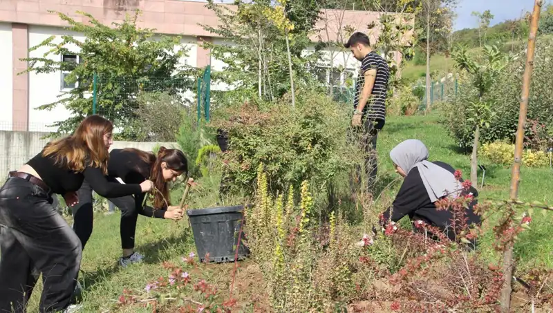 Düzce'nin Rüya Projesi: Hayalden Gerçekliğe Yolculuk