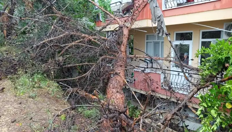 ** Yağmura Dayanamayan Bina, Kendi Ağırlığına Kapıldı ve Devrildi!**