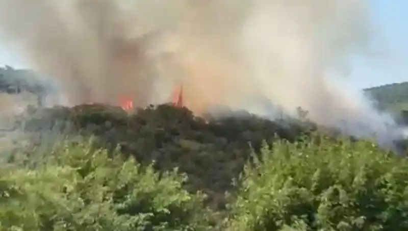 İstanbul’da Orman Yangını: Vatandaşlar Tahliye Edilmek Zorunda Kaldı