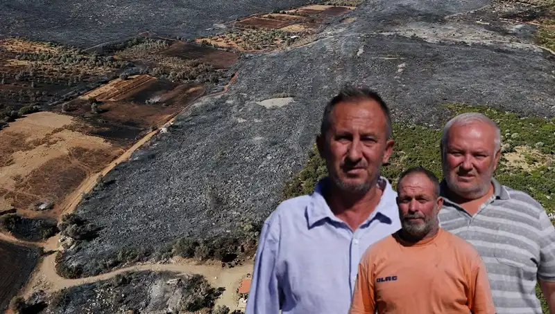 Çeşme Yangını’nın Ardından: Yıkıcı Zararın Boyutu ve İzleri