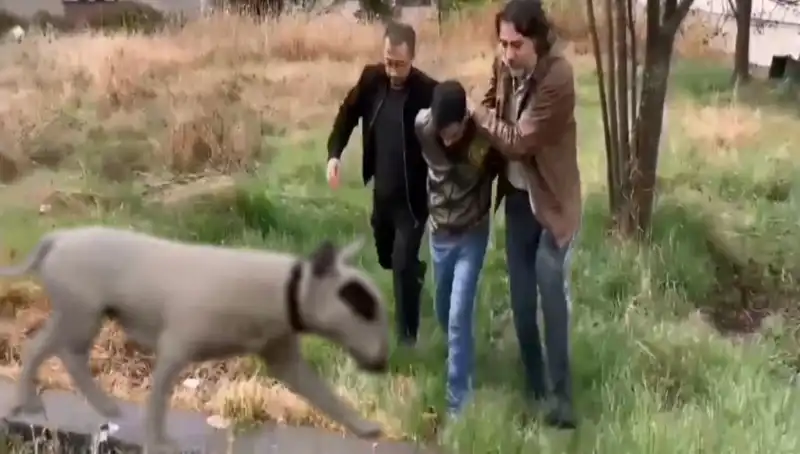 Şampiyon Köpeği Çalan Hırsız, 430 Bin Liralık Vurgunla Yakalandı